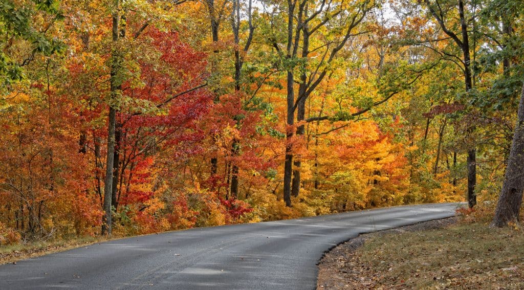 Fall road scene at ne of the best camp spots in Alabama, Desoto State Park