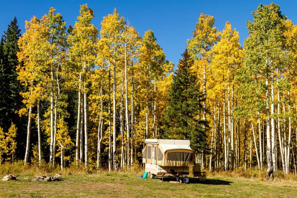 Travel Trailers for Sale in Show Low, AZ: Your Ticket to Adventure