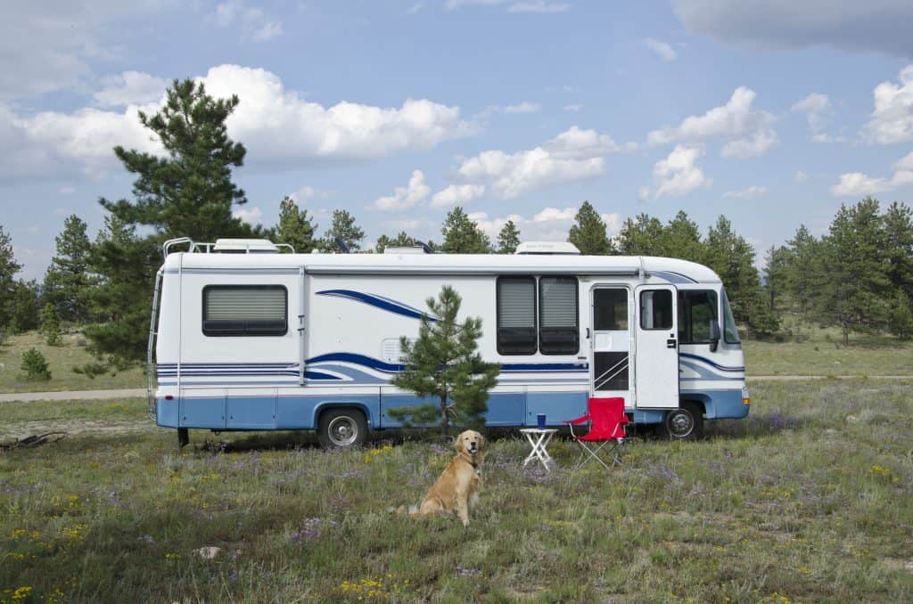 Class A RV with dog on public land.