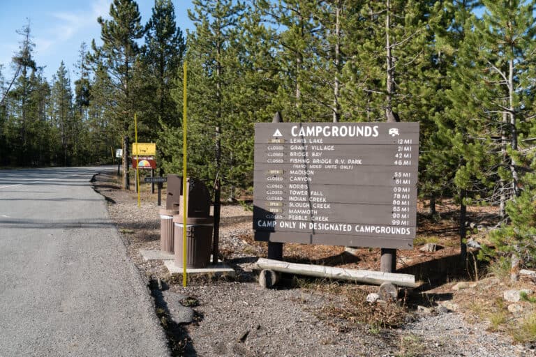 Campground Availability in Yellowstone