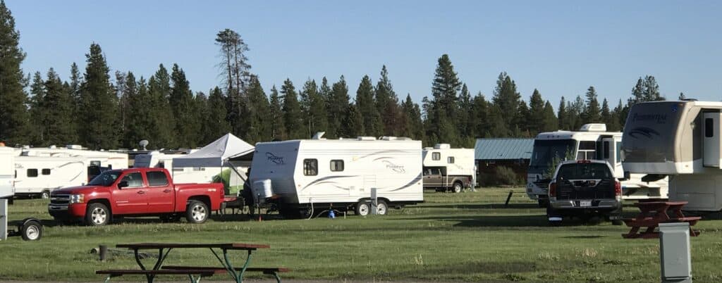 Mid-size trailers lined up at a campground.