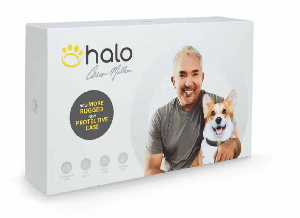 Box photo of Halo collar with Cesar millan and dog.