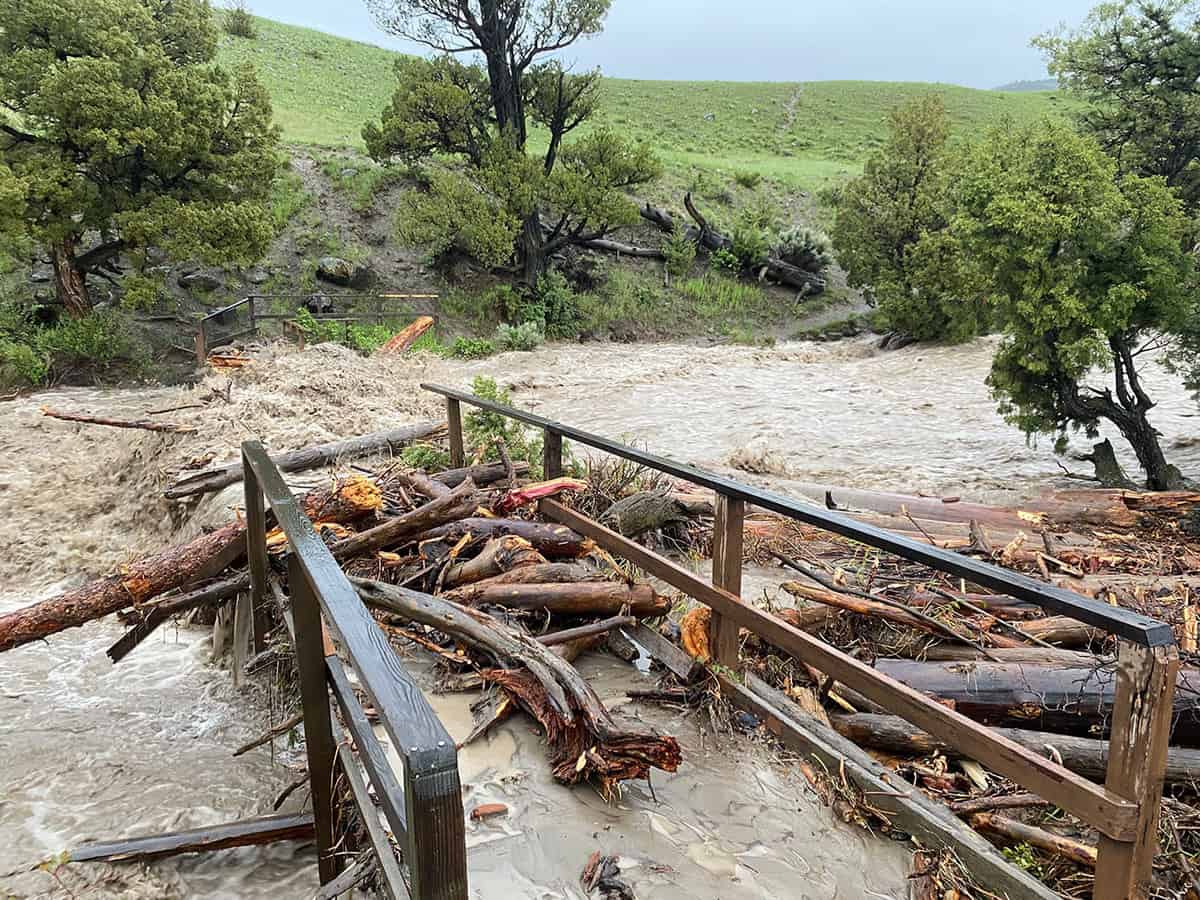 Yellowstone National Park Closed All Entrances After Heavy Flooding ...