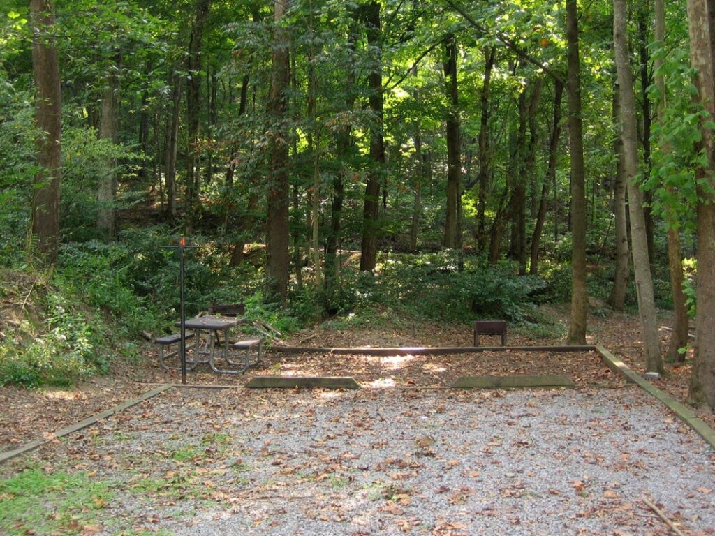 campground in new river gorge national park