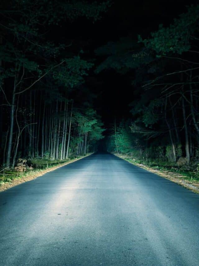 night on dark forest road - feature image for driving at night