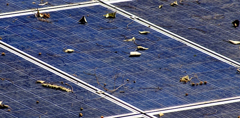 Solar panels covered with dirt, leaves, and twigs.